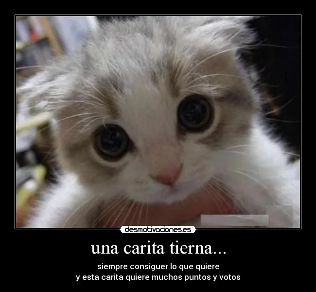 una carita tierna... | Desmotivaciones