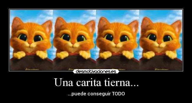 Una carita tierna... | Desmotivaciones
