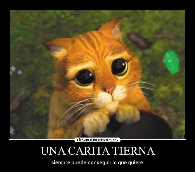 UNA CARITA TIERNA | Desmotivaciones