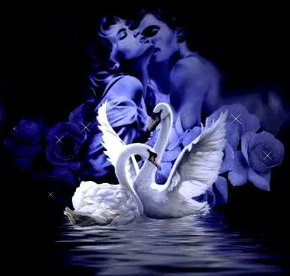 Cisnes de amor - Imagui