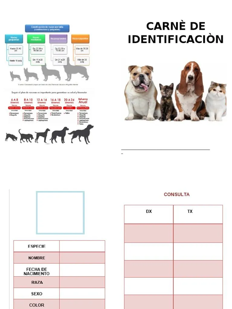 Carnè de Vacunaciòncartilla de Vacunacion para Perros | PDF Carnè de Vacunaciòncartilla de Vacunacion para Perros | PDF