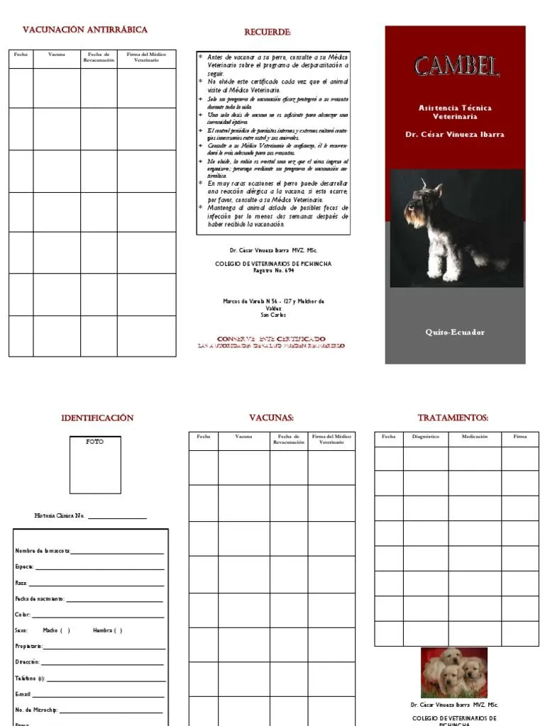 Carnet Cachorros | PDF