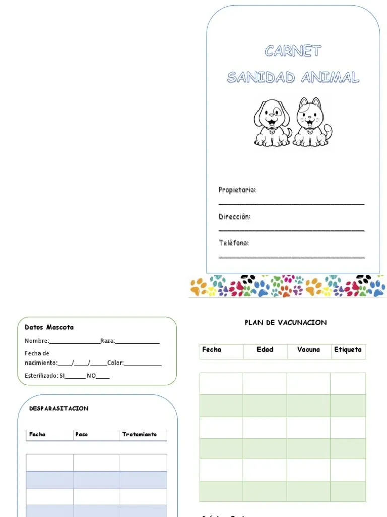 Carnet de Vacunas | PDF