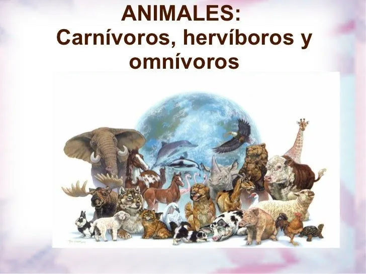 CARNIVOROS, HERVIBOROS, OMNIVOROS