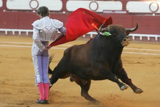 carol: 'El mito del torero que no se cuida o no entrena ha pasado ...