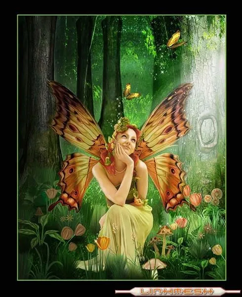 Carol M.: Hadas / Fairies