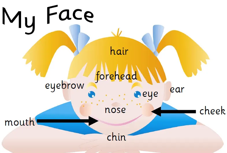 La cara y sus partes en inglés para colorear - Imagui