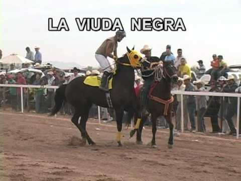 carreras de caballos altar sonora - YouTube