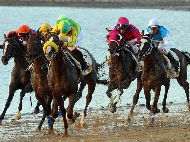 Carreras de caballos: correr hasta morir | PLAGDA Carreras de caballos: correr hasta morir | PLAGDA