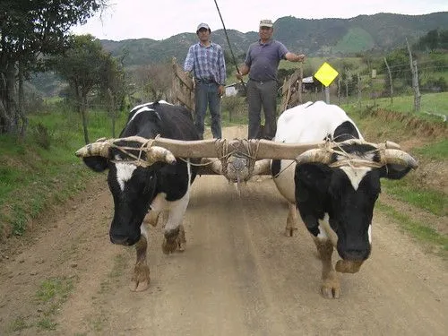 Carreta (Medio de Transporte en el campo ) | Flickr - Photo Sharing! Carreta (Medio de Transporte en el campo ) | Flickr - Photo Sharing!