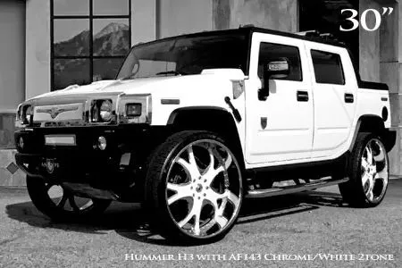 CARROS PERRONES