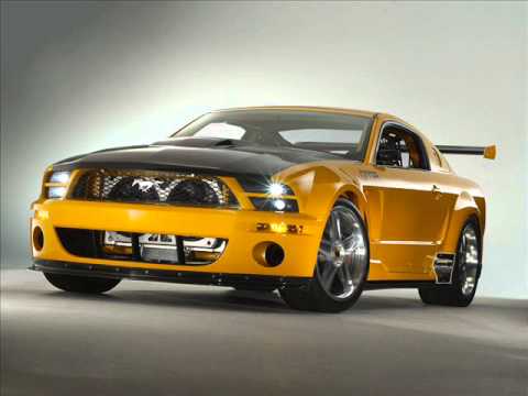 CARROS PERRONES - YouTube