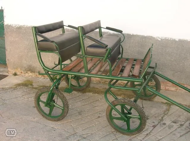 Carruaje moderno | Pacopi's Weblog