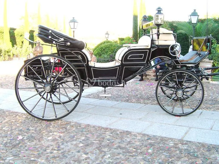 Carruajes de Caballos