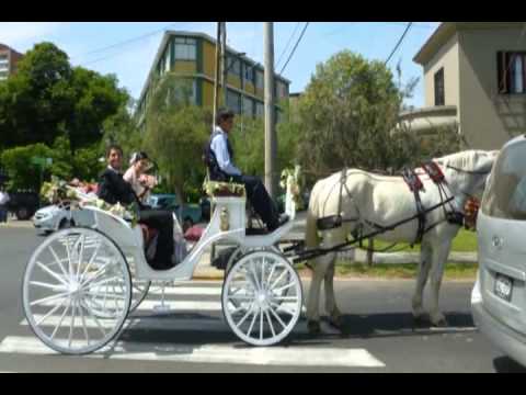 CARRUAJES Y CABALLOS PERU BODA MIRAFLORES - YouTube CARRUAJES Y CABALLOS PERU BODA MIRAFLORES - YouTube