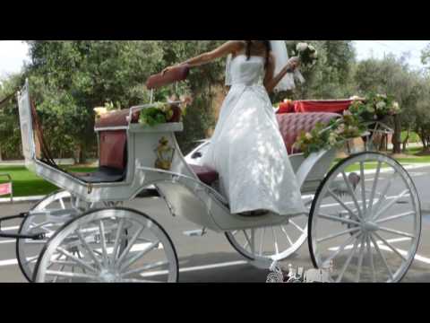 Carruajes | Triton TV