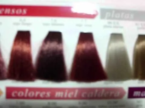 CARTA DE COLORES EXITENN - YouTube