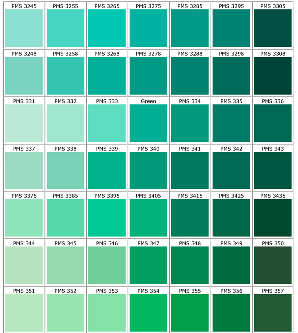 CARTA DE COLORES | pilicomplementos