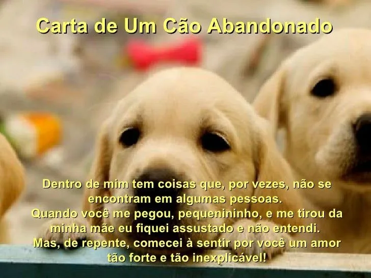carta-de-um-co-abandonado-1- ...