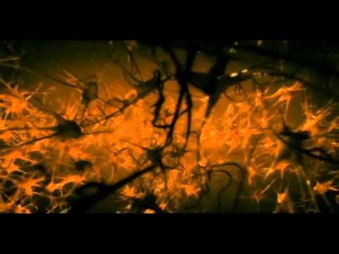 Carta a mis padres, desde el vientre de mi madre... - YouTube Carta a mis padres, desde el vientre de mi madre... - YouTube