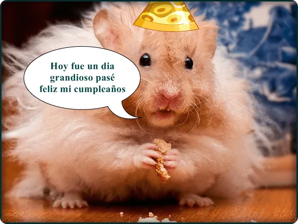 Tarjetas de cumpleaños chistosas gratis para FaceBook - Imagui Tarjetas de cumpleaños chistosas gratis para FaceBook - Imagui