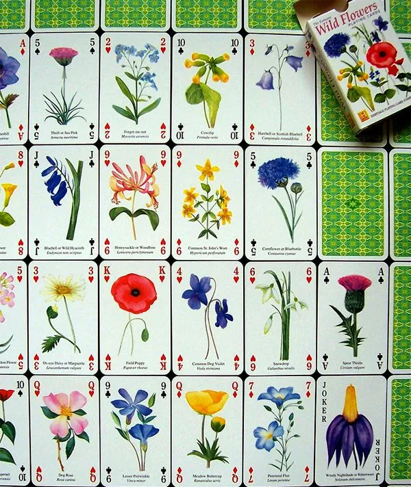 Las cartas sobre la mesa… de diseño ::::::::::::::: | Las cartas sobre la mesa… de diseño ::::::::::::::: |