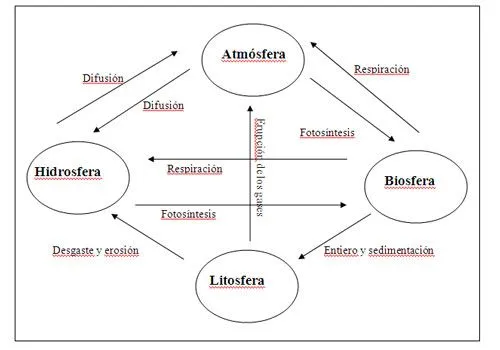 Cartel del Ciclo del Carbono | California Academy of Sciences