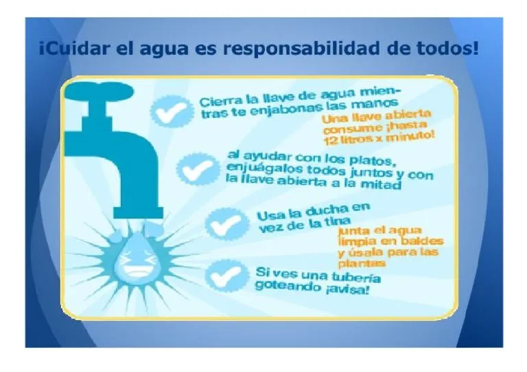 Cartel Del Cuidado Del Agua | PDF