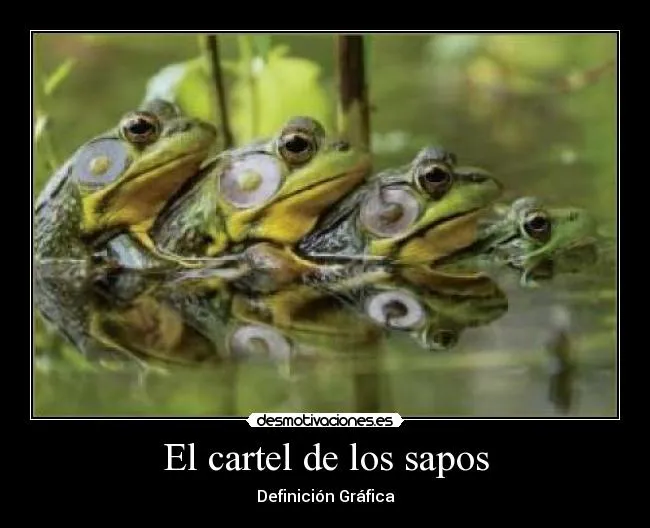 El cartel de los sapos - desmotivaciones.