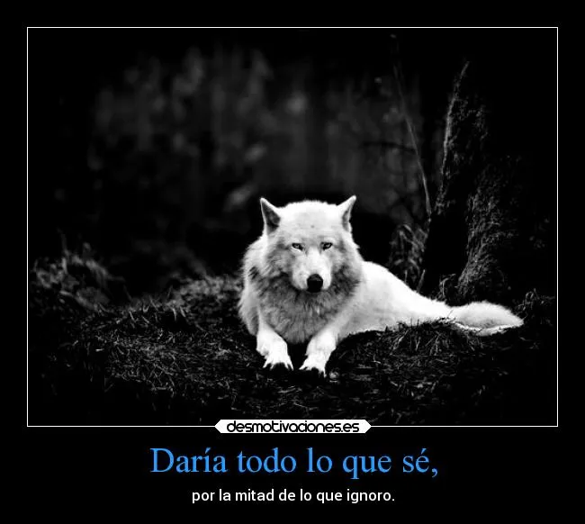 Imagenes de lobos con frases - Imagui