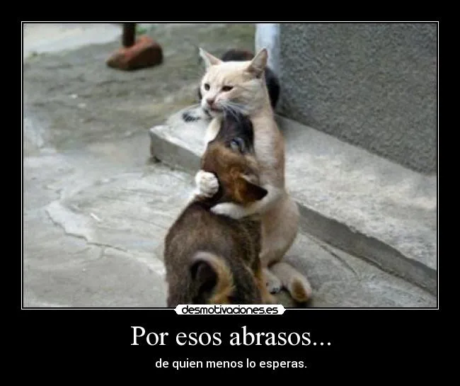 Carteles de Abrasos Pag. 5 | Desmotivaciones Carteles de Abrasos Pag. 5 | Desmotivaciones