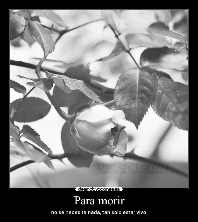 Carteles de Abuelito Pag. 3 | Desmotivaciones