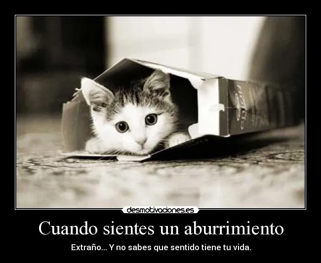 Carteles de Aburrimiento Pag. 8 | Desmotivaciones Carteles de Aburrimiento Pag. 8 | Desmotivaciones