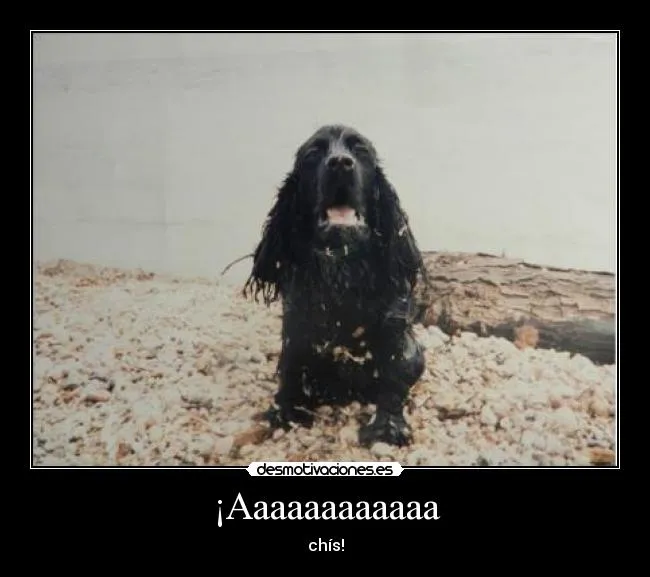 Carteles de Achis | Desmotivaciones