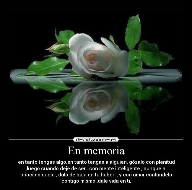 Carteles de Adelantaste | Desmotivaciones
