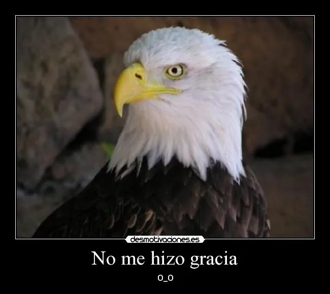 Carteles de Aguila Pag. 34 | Desmotivaciones