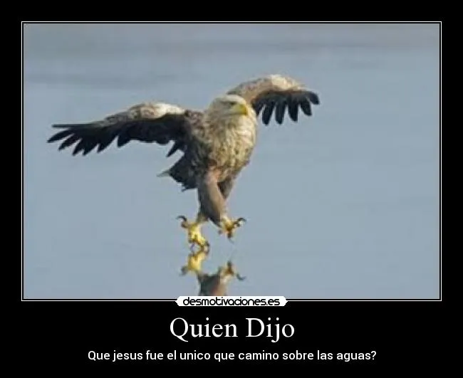 Carteles de Aguila Pag. 8 | Desmotivaciones Carteles de Aguila Pag. 8 | Desmotivaciones