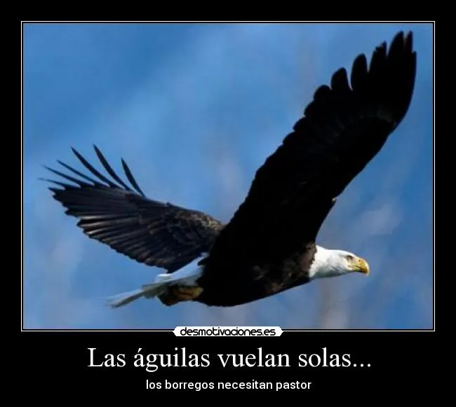 Carteles de Aguilas | Desmotivaciones