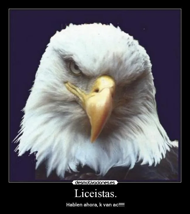 Carteles de Aguilas Pag. 4 | Desmotivaciones
