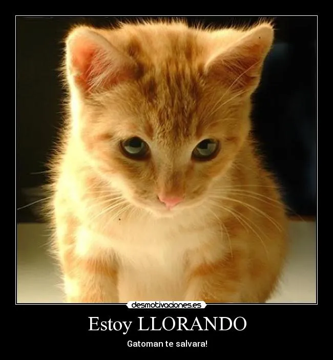 Carteles de Allado | Desmotivaciones