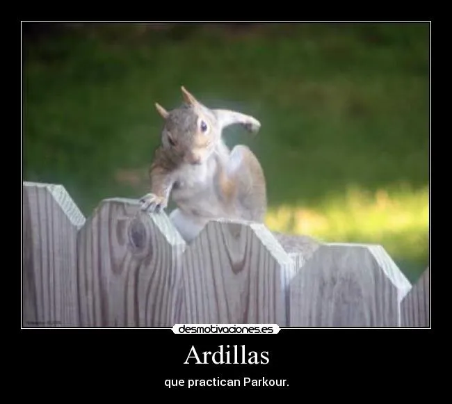 Carteles de Ardilla | Desmotivaciones