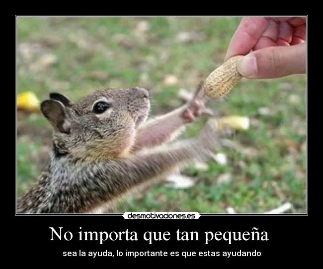 Carteles de Ardilla Pag. 15 | Desmotivaciones Carteles de Ardilla Pag. 15 | Desmotivaciones