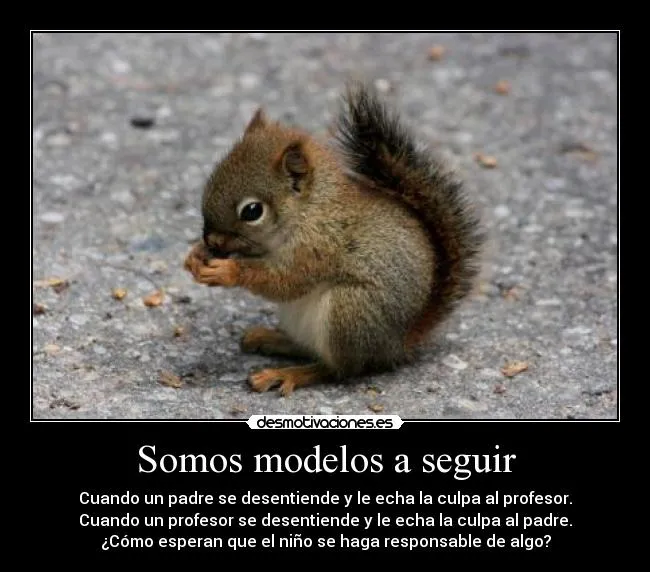Carteles de Ardillas Pag. 56 | Desmotivaciones
