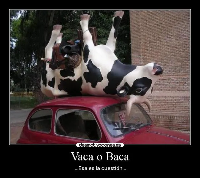 Carteles de Bacas | Desmotivaciones