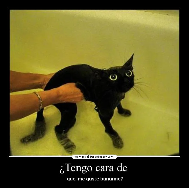 Imagenes graciosas bañandose - Imagui