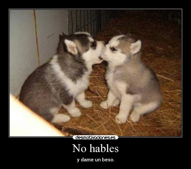 Carteles de Besandose Pag. 2 | Desmotivaciones