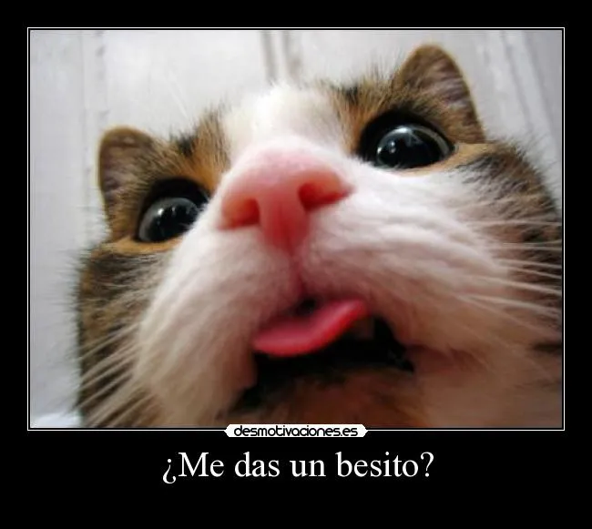 Carteles de Besito Pag. 2 | Desmotivaciones Carteles de Besito Pag. 2 | Desmotivaciones