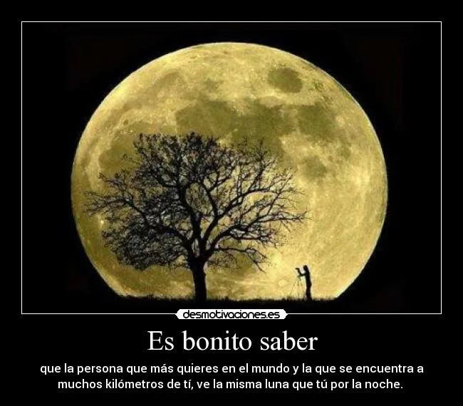 Carteles de Bonitas Pag. 14 | Desmotivaciones Carteles de Bonitas Pag. 14 | Desmotivaciones