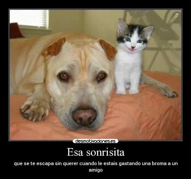 Carteles de Bromas | Desmotivaciones Carteles de Bromas | Desmotivaciones