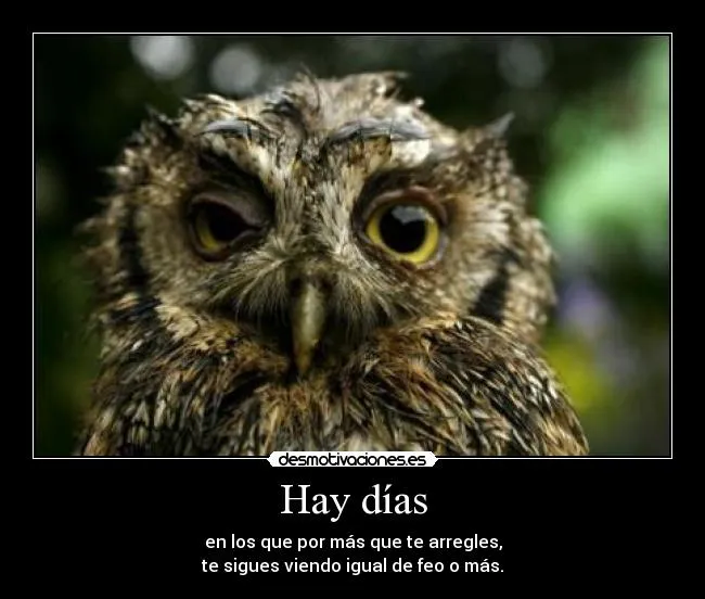 Carteles de Buho | Desmotivaciones